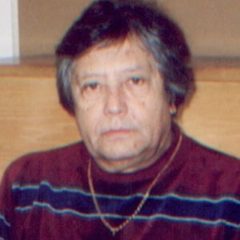 Manuel Enríquez